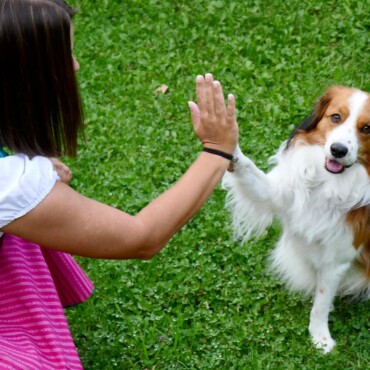 handshake, welcome, gesture